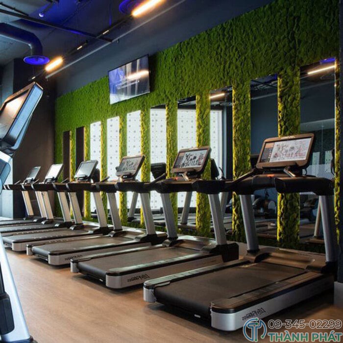 Kính Dán Tường Phòng Tập Gym